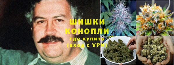 не бодяженный Зерноград
