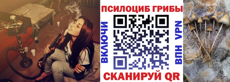 Купить где  Узловая  Псилоцибиновые грибы GOLDEN TEACHER 