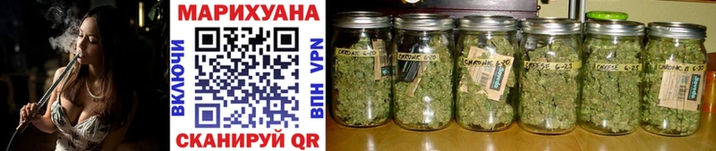Конопля SATIVA & INDICA Купить Узловая